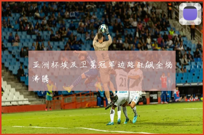 亚洲杯埃及卫冕冠军边路狂飙全场沸腾