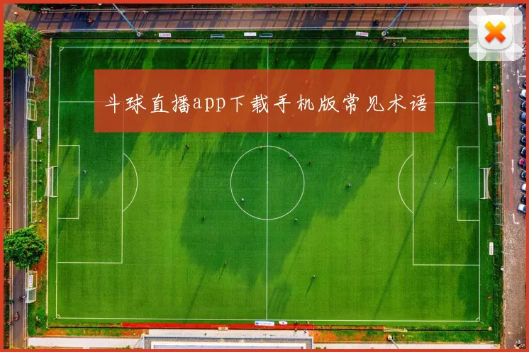斗球直播app下载手机版常见术语