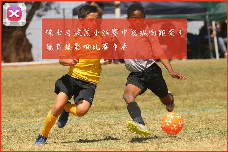 瑞士与波黑小组赛中场纵向距离可能直接影响比赛节奏
