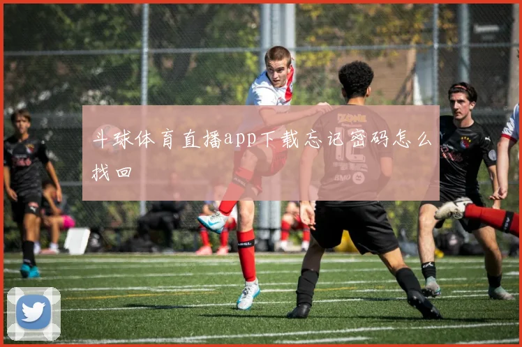 斗球体育直播app下载忘记密码怎么找回